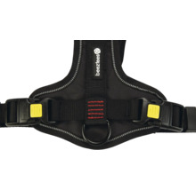 Geschirr für Hunde mit Beestees Logo