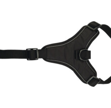 Schwarzes Hundegeschirr mit Schnallen und D-Ring