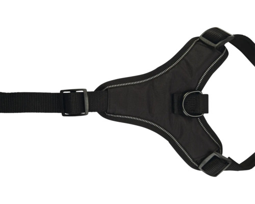 Schwarzes Hundegeschirr mit Schnallen und D-Ring