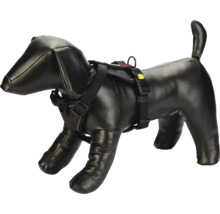 Hundegeschirr an einer Hundepuppe