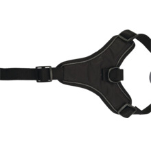 Schwarzes Hundegeschirr mit verstellbaren Riemen und D-Ring