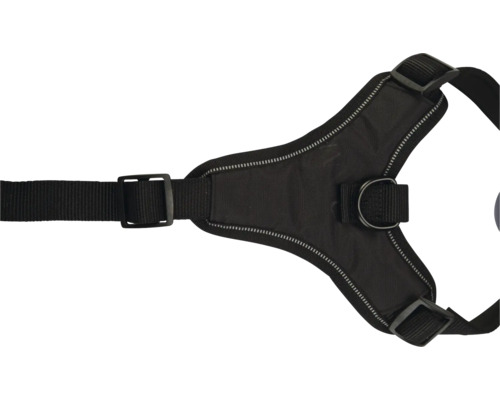 Schwarzes Hundegeschirr mit verstellbaren Riemen und D-Ring