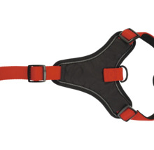 Detailansicht eines schwarzen Hundegeschirrs mit roten Gurten und Metallschnallen