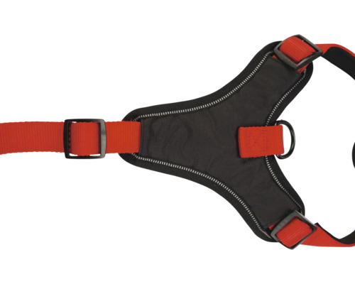 Detailansicht eines schwarzen Hundegeschirrs mit roten Gurten und Metallschnallen