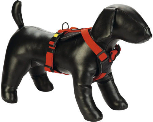 Hundegeschirr mit rotem Gurt