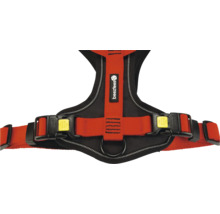 Hunde-Sicherheitsgurt mit Bezztees Logo