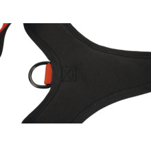 Detailansicht eines Klettergurts mit D-Ring