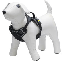 Schwarzes Hundegeschirr an einer Hundepuppe.