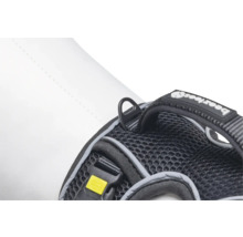 Detailansicht eines Hunde-Brustgeschirrs mit D-Ring