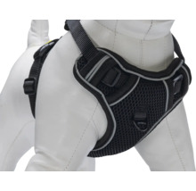 Hundegeschirr mit verstellbaren Gurten und Mesh-Einsatz