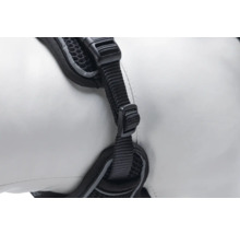 Detailansicht eines schwarzen Hundegeschirrs mit Gurtband und Schnalle