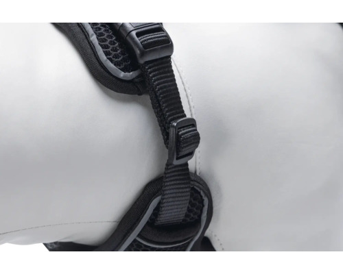 Detailansicht eines schwarzen Hundegeschirrs mit Gurtband und Schnalle