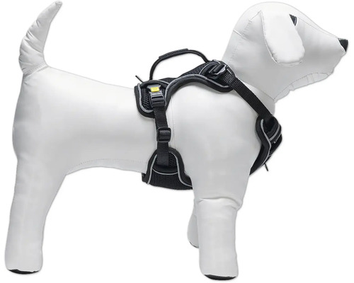 Hundegeschirr am Hunde-Dummy