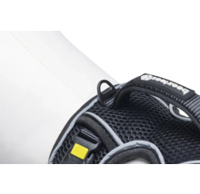 Detailansicht eines Hundegeschirrs mit Befestigungsring