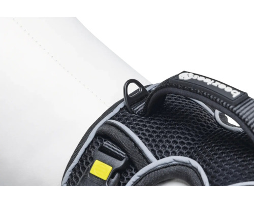 Detailansicht eines Hundegeschirrs mit Befestigungsring