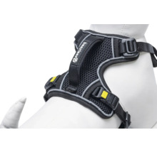 Schwarzes Hundegeschirr mit Netzfutter und verstellbaren Riemen