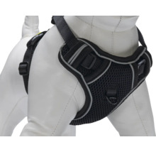 Hundegeschirr aus Mesh mit verstellbaren Riemen