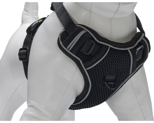 Hundegeschirr aus Mesh mit verstellbaren Riemen