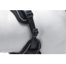 Detailansicht eines schwarzen Hundegeschirrs mit Gurtband und Schnalle