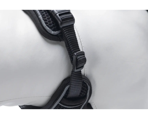 Detailansicht eines schwarzen Hundegeschirrs mit Gurtband und Schnalle