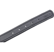 Beeztees Logo auf einem Hundehalsband aus Leder mit Löchern zur Größenanpassung.