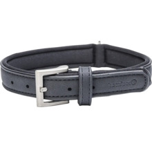 Hundehalsband mit Metallschnalle
