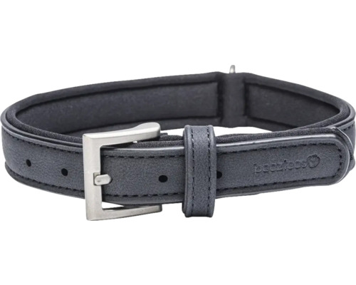 Hundehalsband mit Metallschnalle