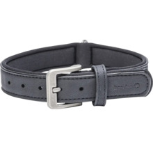 Hundehalsband mit Schnalle