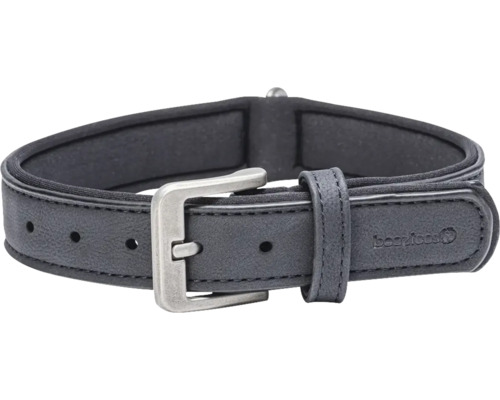 Hundehalsband mit Schnalle