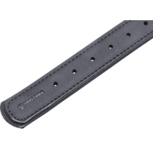 Detailansicht eines schwarzen Hundehalsbandes mit Löchern zur Größenverstellung