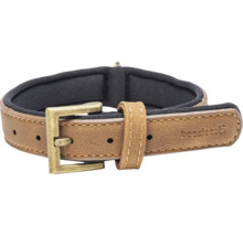 Hundehalsband aus Leder mit Metallschnalle