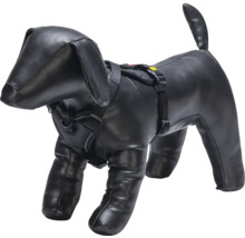 Schaufensterpuppe in Hundeform mit Geschirr