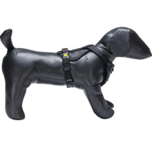 Hundegeschirr am Hunde-Dummy