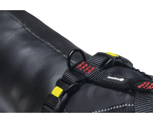 Detailansicht eines Hundegeschirrs mit Ring und Schnalle