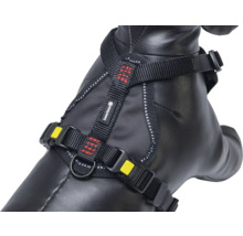 Hundegeschirr mit verstellbaren Gurten und Schnallen