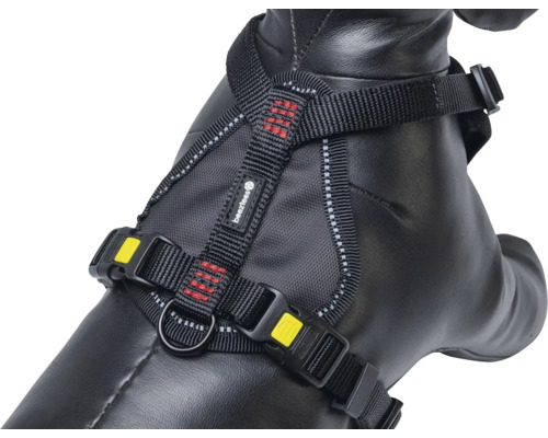 Hundegeschirr mit verstellbaren Gurten und Schnallen