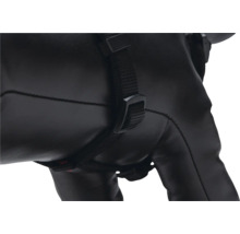 Detailaufnahme eines schwarzen Werkzeugrucksacks mit Gurt und Schnalle