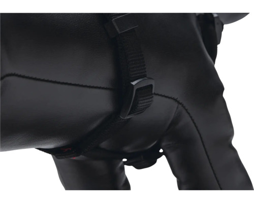 Detailaufnahme eines schwarzen Werkzeugrucksacks mit Gurt und Schnalle