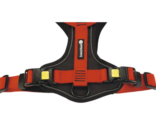 Beetztees Hundegeschirr