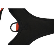 Detailaufnahme eines Sicherheitsgurts mit D-Ring