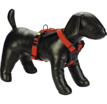 Hundepuppe mit rotem Hundegeschirr