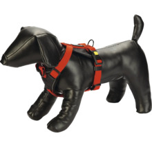 Hundeharnisch an Dackelattrappe