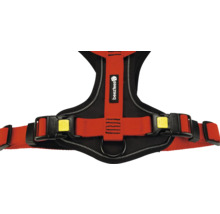 Hundegeschirr mit Beenztees Logo