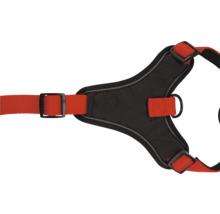 Hundegeschirr mit verstellbaren Riemen