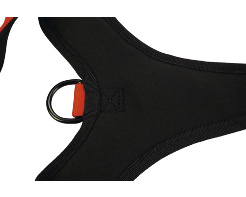 Detailansicht eines schwarzen Klettergurts mit D-Ring