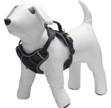 Hundegeschirr auf einer Hundepuppe