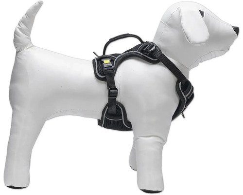 Hundegeschirr am Dummy