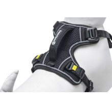 Schwarzes Hundegeschirr mit Netzmaterial und verstellbaren Riemen.