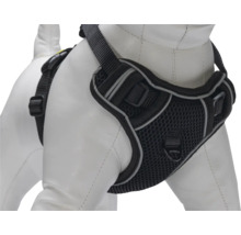 Schwarzes Hundegeschirr mit Gurt