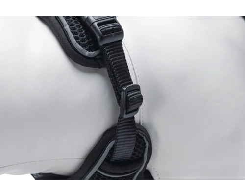 Nahaufnahme eines Hundegeschirrs mit verstellbaren Gurten